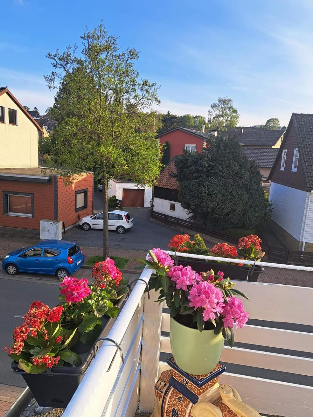 Fewo Im Harz Bad Harzburg Exteriér fotografie